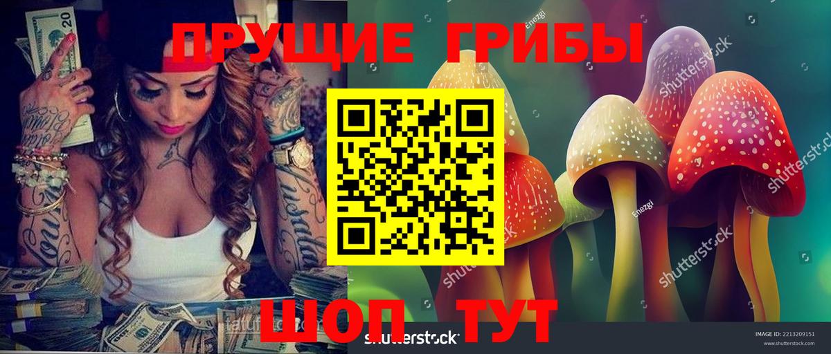 Галлюциногенные грибы Psilocybe  Галлюциногенные грибы Psilocybe  Кудрово  Вход с VPN 